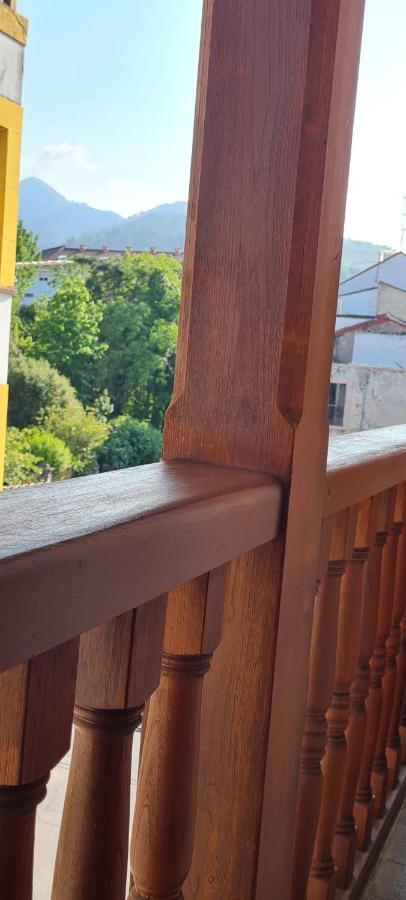 Apartamentos El Pigazu Cangas de Onis Bagian luar foto